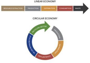 linear v circular economy