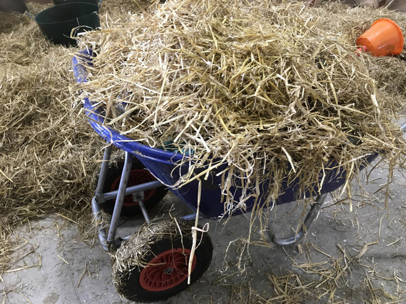 Using waste as animal bedding | NetRegs | Environmental guidance for your business in Northern Ireland & Scotland Using waste as animal bedding | NetRegs | Environmental guidance for your business in Northern Ireland & Scotland