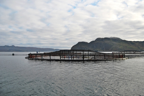 Marine cages for fish farming at sea, NetRegs